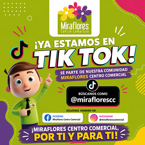 tik tok web